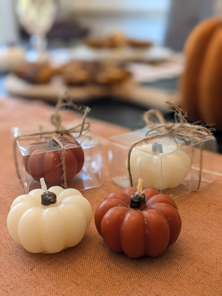 Pumpkin Spice Collection
