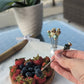 Appetizers Picks