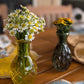 The Daisy Garden Collection