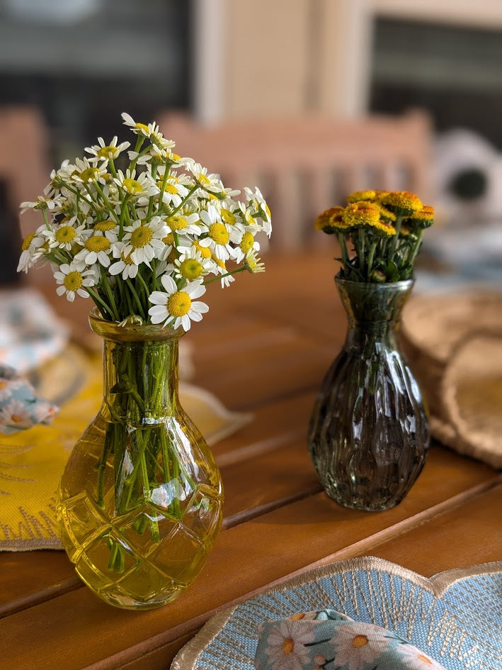 The Daisy Garden Collection