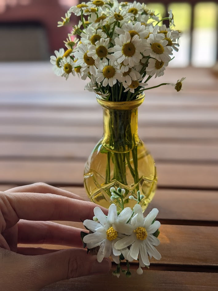 The Daisy Garden Collection