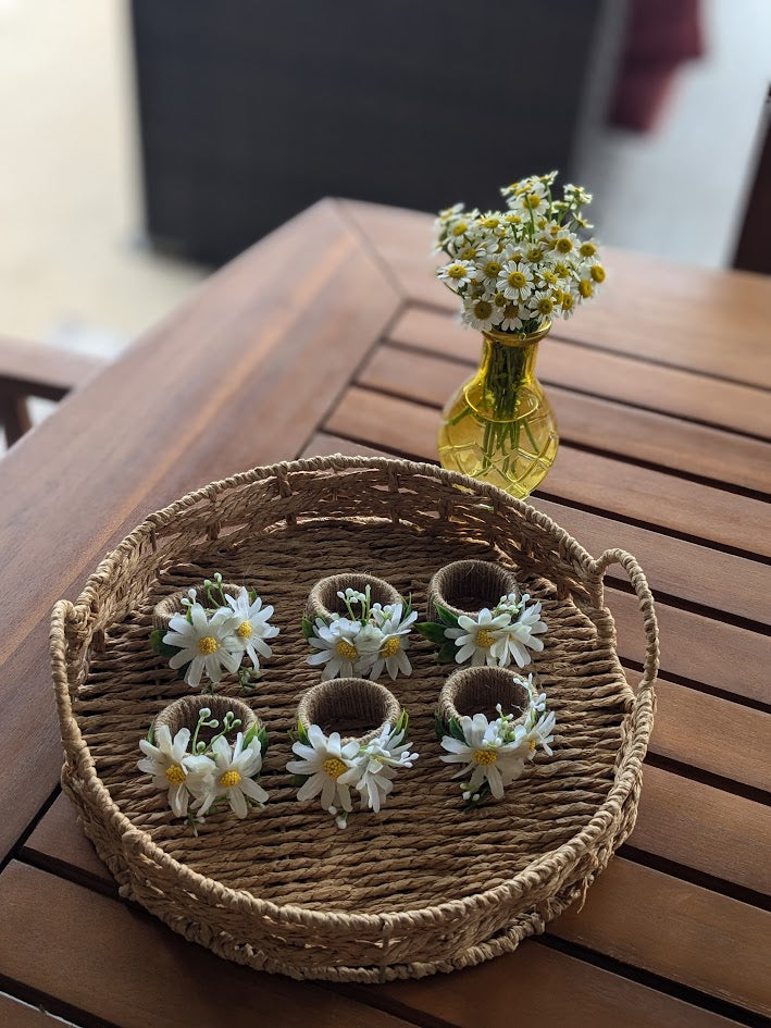 The Daisy Garden Collection