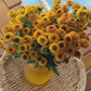 The Daisy Garden Collection