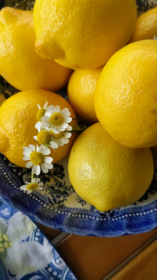 Majolica Lemon Collection